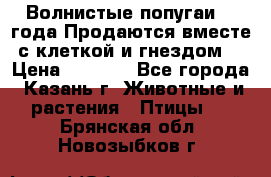 Волнистые попугаи, 2 года.Продаются вместе с клеткой и гнездом. › Цена ­ 2 800 - Все города, Казань г. Животные и растения » Птицы   . Брянская обл.,Новозыбков г.